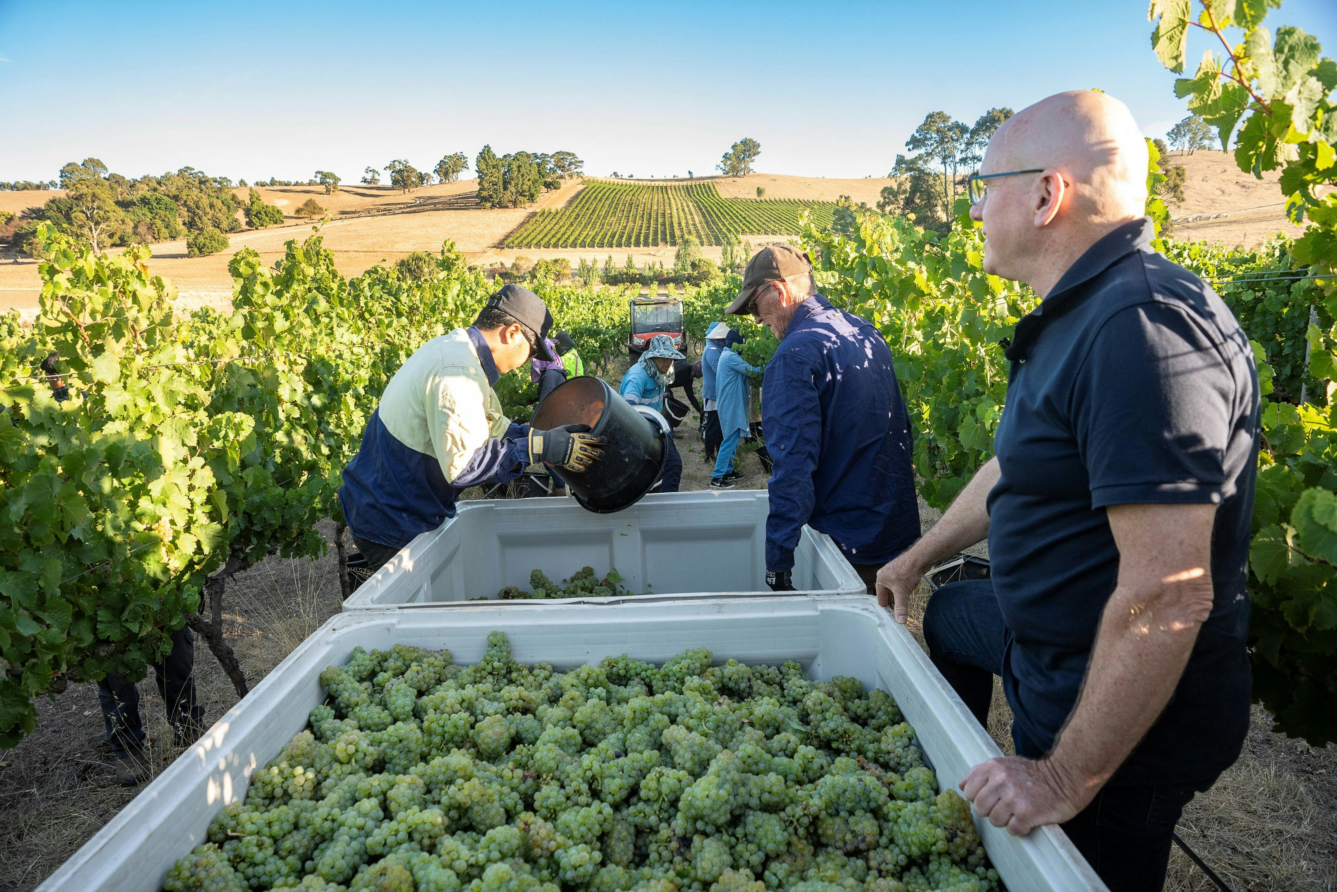 Jeff and Picking Crew at SV 2024