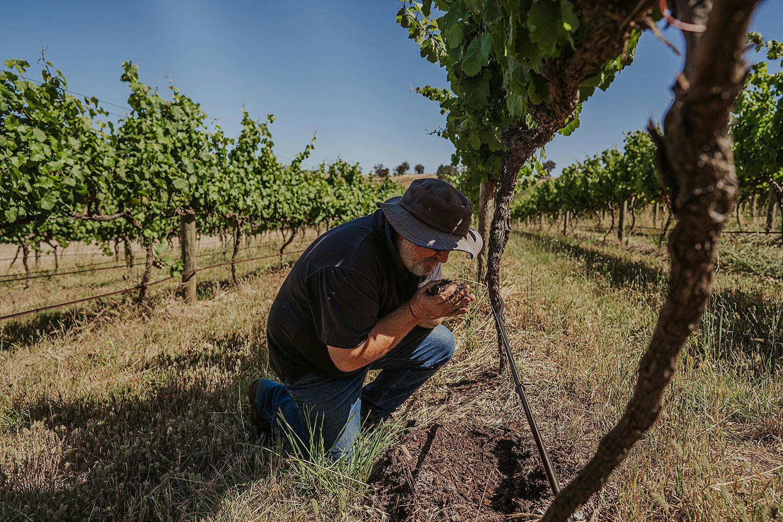 Matt smelling soil websize